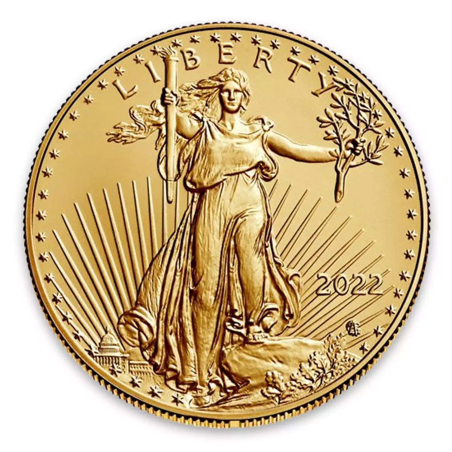 2022 1/2oz American Gold Eagle (2)