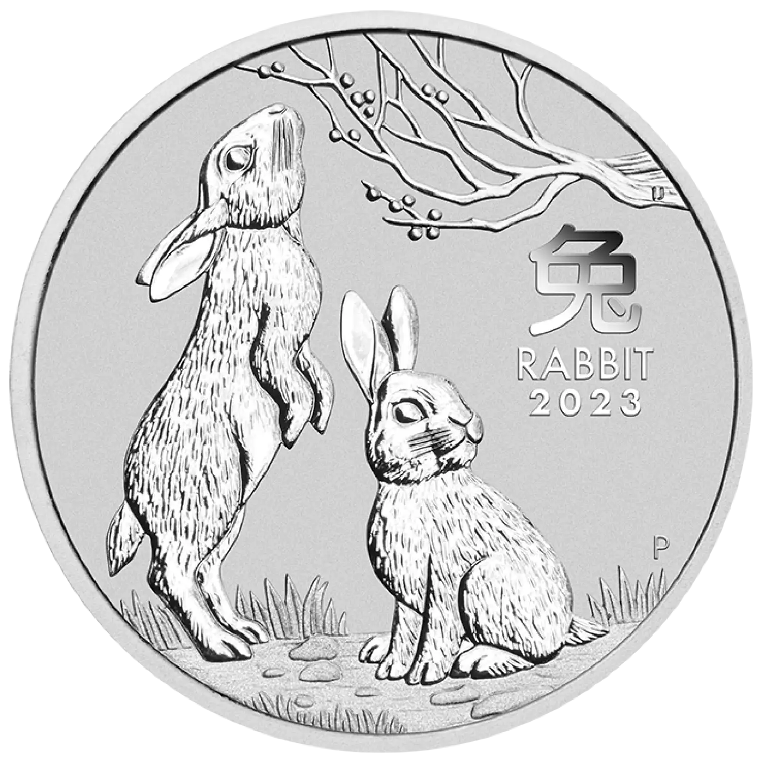 2023 1kg Australian Perth Mint Lunar Series III: Year of the Rabbit (2)
